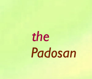 The Padosan